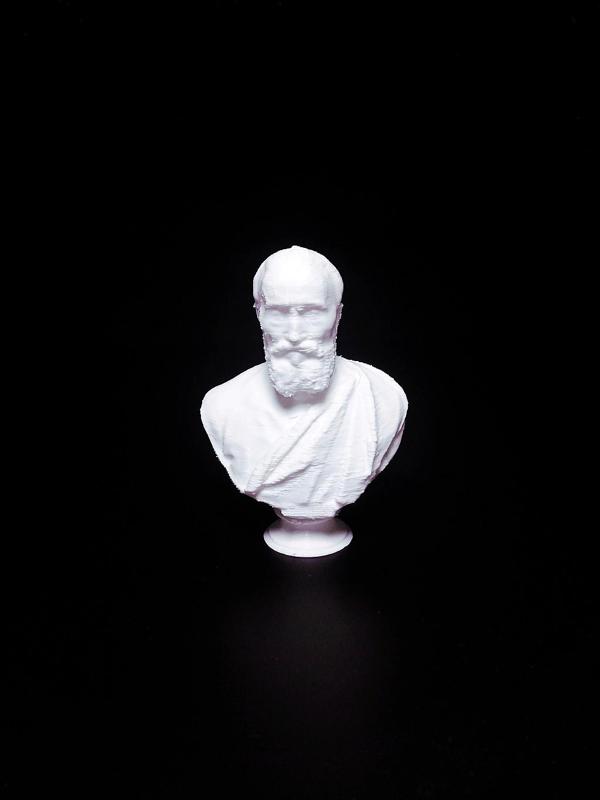 Portrait of Michelangelo