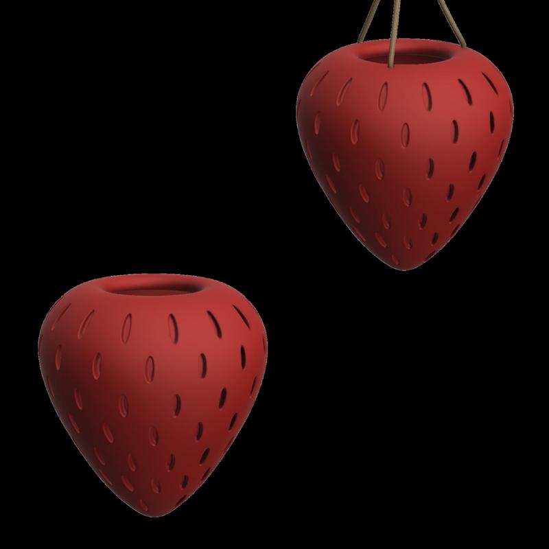Strawberry - Wall/Hanged Planter (Two Versions)
