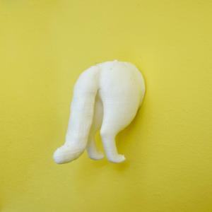 Animal Behinds : Cat - Fridge Magnets