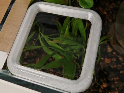 Fish Tank Feeding Ring