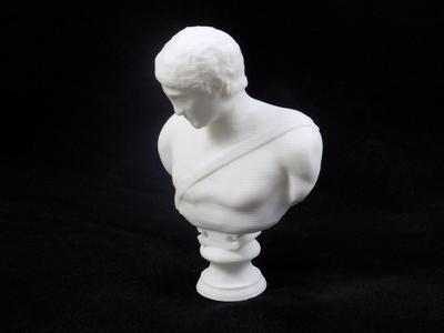 Bust of an Athlete at The Museum of Western and Oriental Art, Kiev