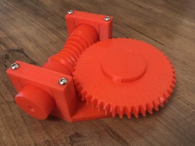 Globoid Worm Gear
