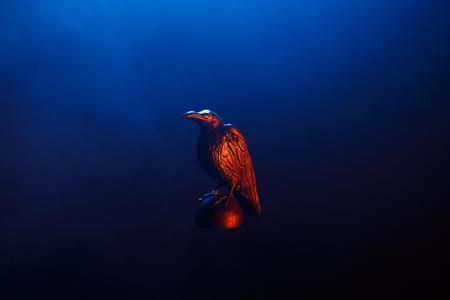 RAVEN - Vikings 3D Prophecy (SEASON 4 EPISODE 16) - Crossing