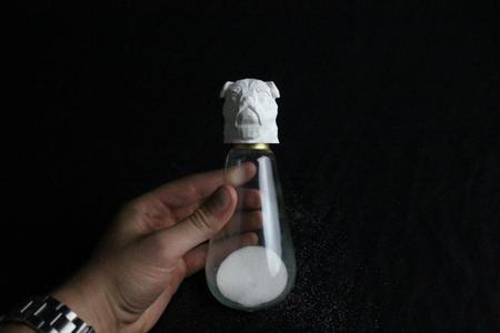 'Pug Life' Salt and Pepper Shaker from an Old Lightbulb!