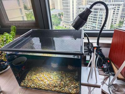 Aquarium Spotlight Bracket