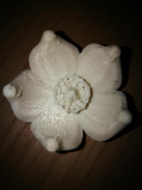 Flower 2