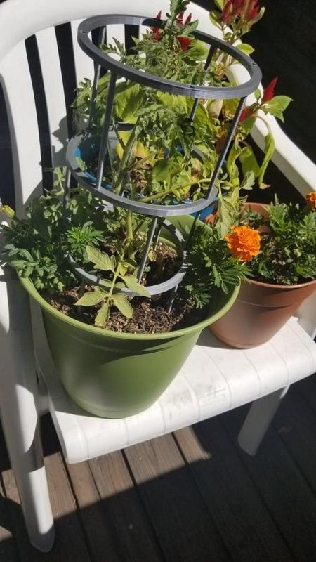 Tomato Cage [Stackable]