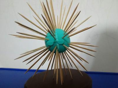 Sea urchin