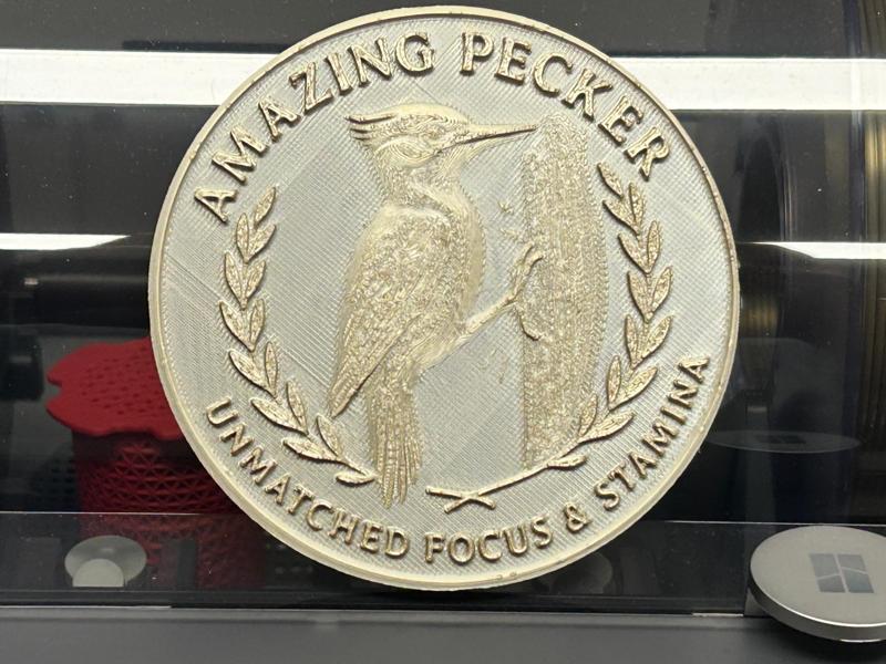 Amazing Pecker: A Gift for My Favorite Birdwatcher