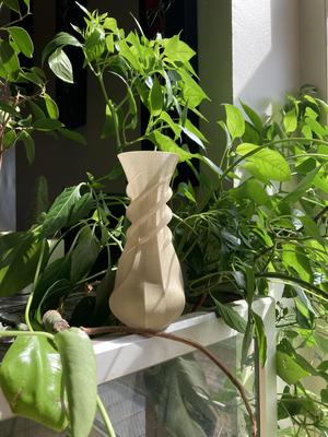 Modern twisted flower vase - Twisted wierd design vase