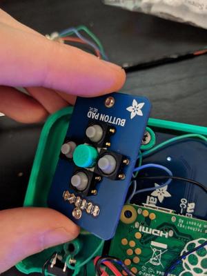 Pigrrl dpad rocker