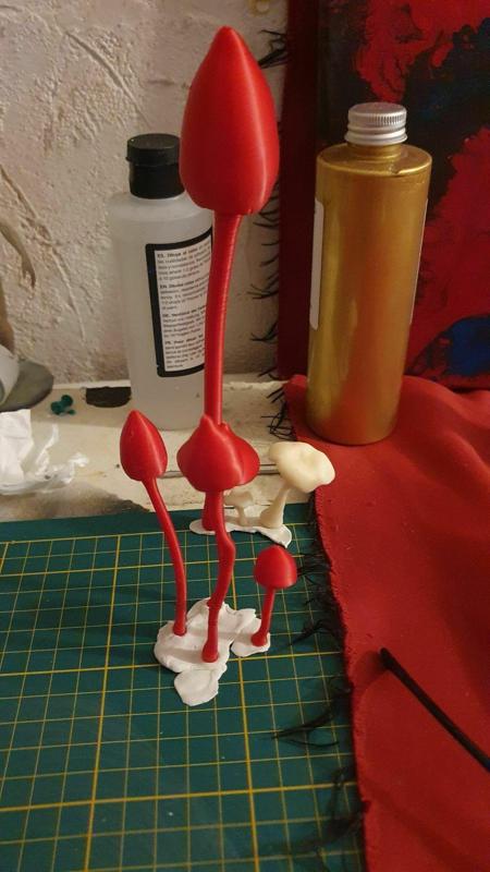 mushroom psilocybes semilanceata