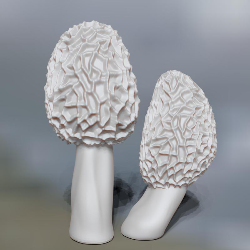 naturalist sculpture morel mushrooms