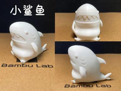 Cute little shark