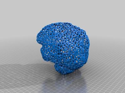 Voronoi Brain