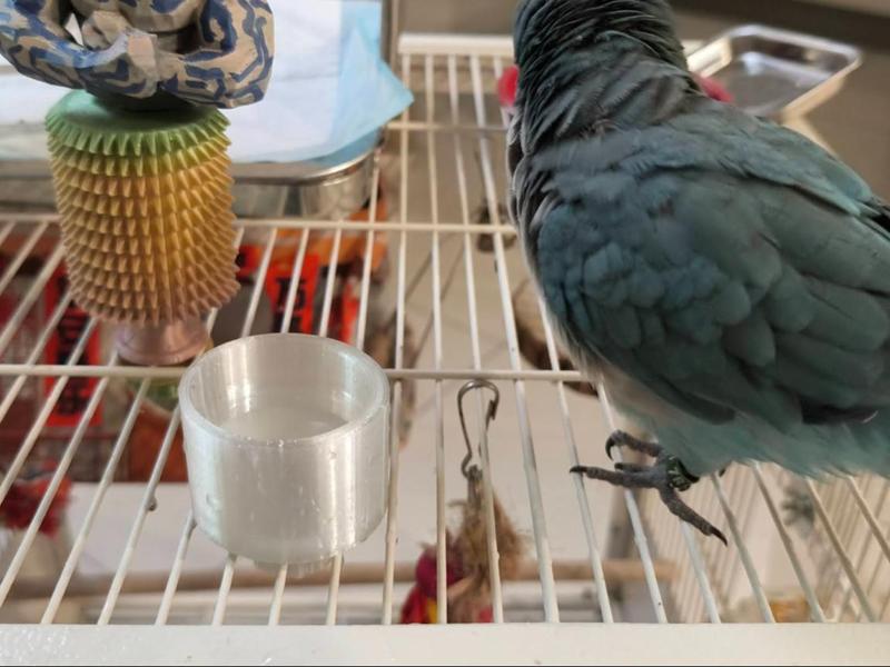 Bird Cage Bird-proof Anti-tip Water Cup