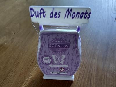 Scentsy Bar Holder