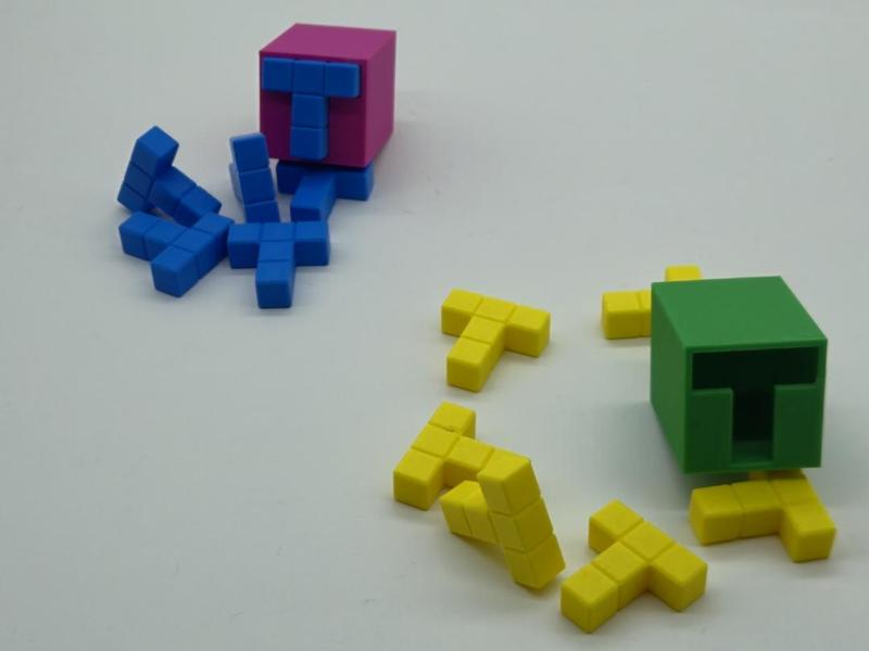 T-Box Puzzle