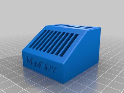 Memory Stick and SSD Card Holder