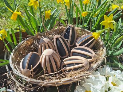 Easter Egg Collection "Enclosing Columns" 8 Eggs