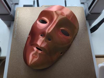 Nobody Wearable Wall-Mounted Carnival Mask