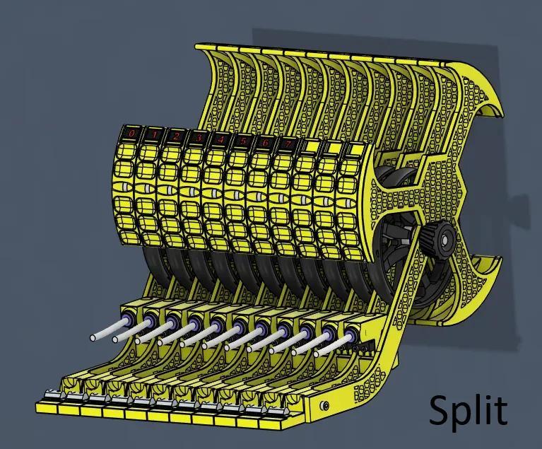 Cotton Tail - TradRack (Split)   