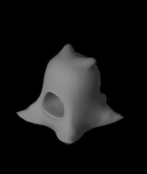 HippoVoid.obj