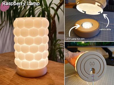 large Raspberry lamp for LED lamp Kit-001