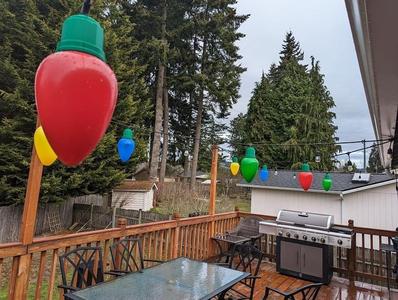 Jumbo Novelty 'C9' Bulb to String Light Adapter