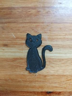 gato negro   