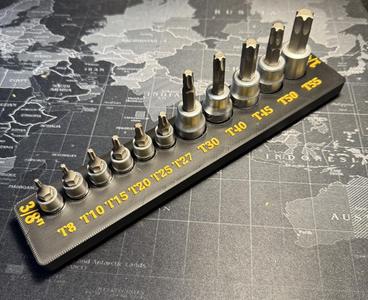 Gridfinity torx Socket holder