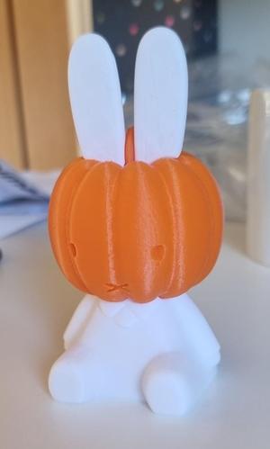 Halloween Miffy