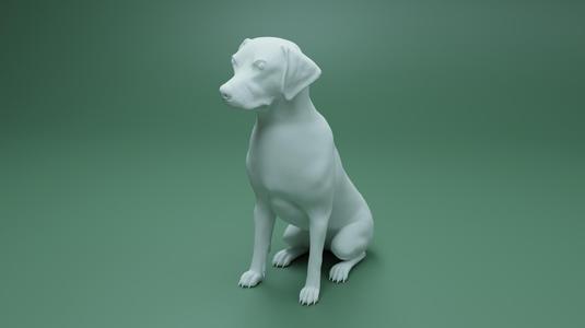 Sitting dog