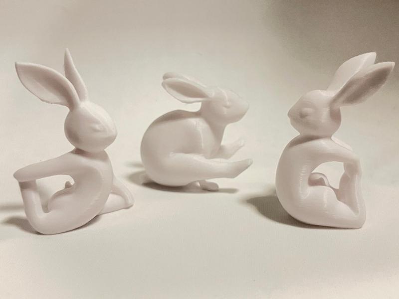 Easter Yoga Bunny V2
