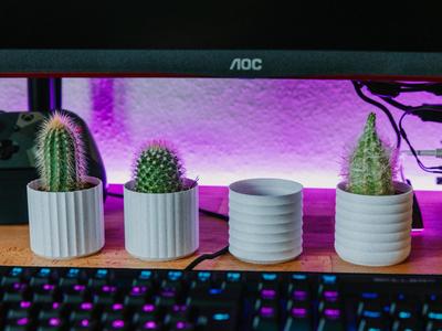 Planter – LiniMini