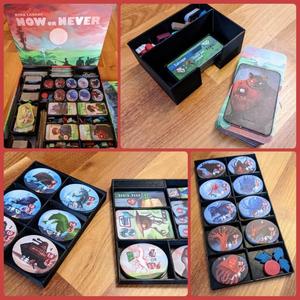 Now or Never Organizer