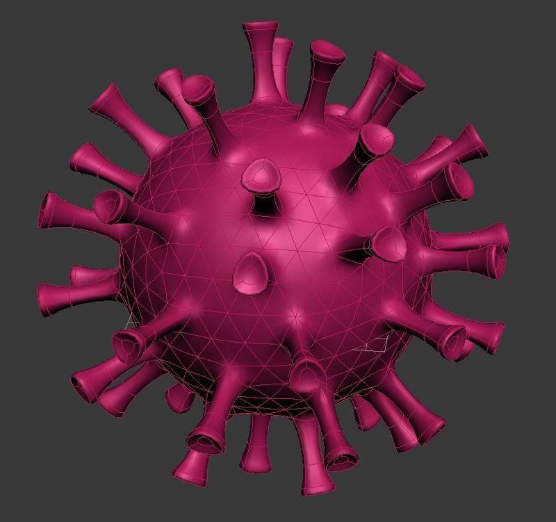 Corona Virus