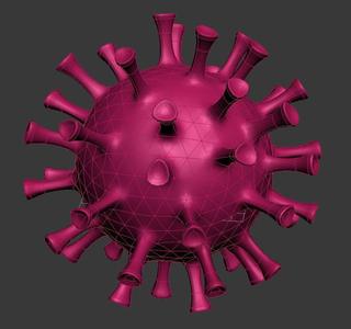 Corona Virus