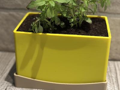 Rectangular vase with saucer