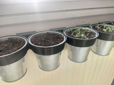 Radiator plant pot holder