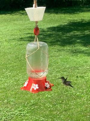 Mason Jar Hummingbird Feeder