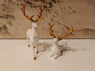 Deer