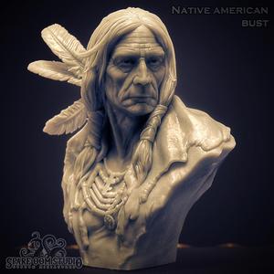 Native American Bust -Pre-supported