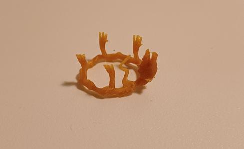 Sculped chinese dragon inspired ring