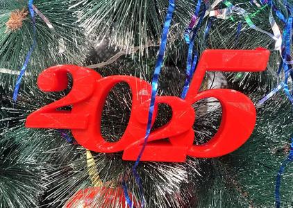 2025 Christmas Decoration   