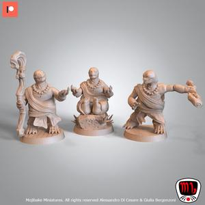 Jin, Jun and Jiang, monk turtles (Pre-supported)