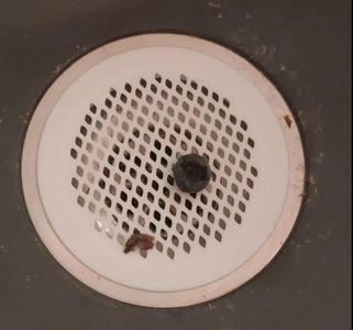Sink filter 85mm   
