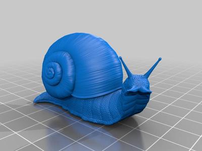 giant snail