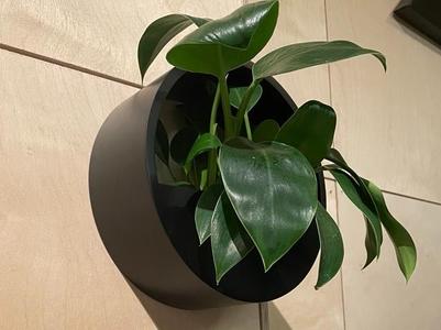 Modern Wall Flower Pot Design