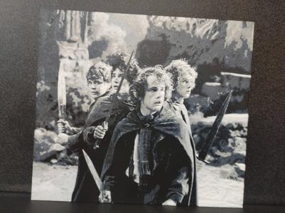 Lord of The Rings - Brave Four Hobbits 4Colors AMS